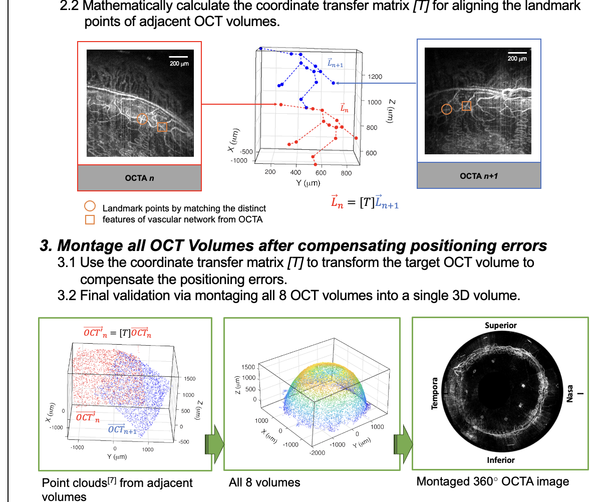 Montaging multiple optical coherence tomography volumes thumbnail